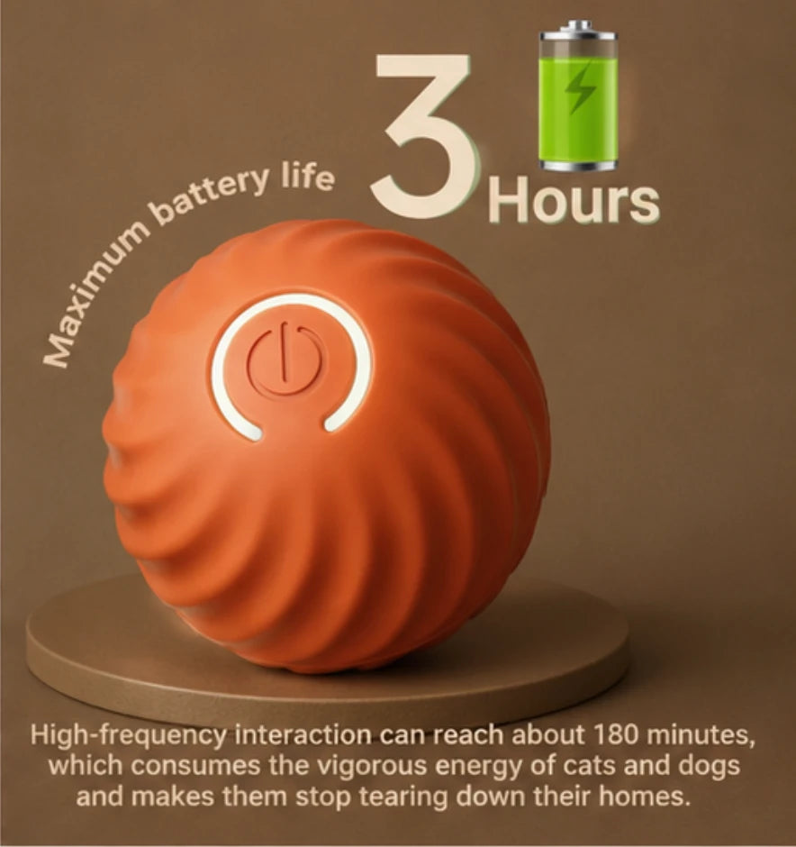 Interactive Smart Toy
