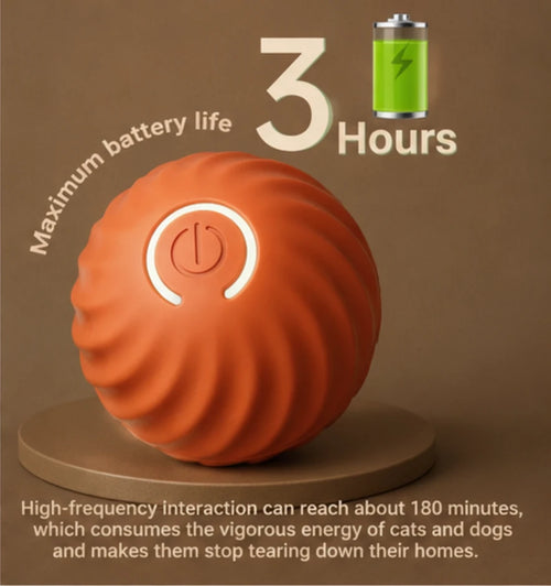 Interactive Smart Toy