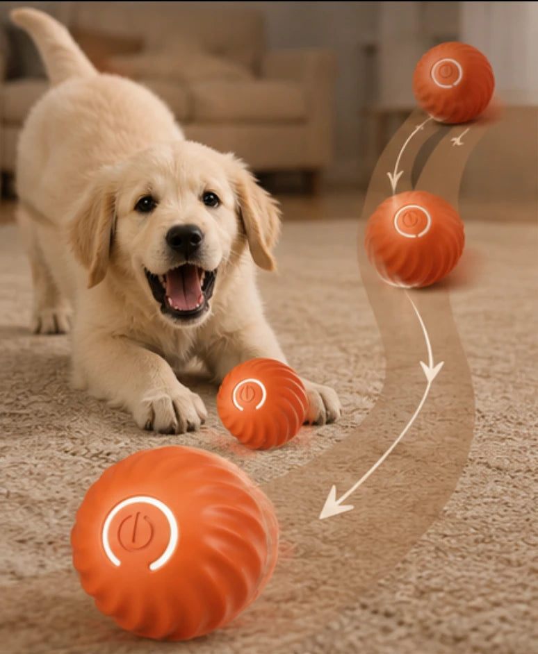 Interactive Smart Toy