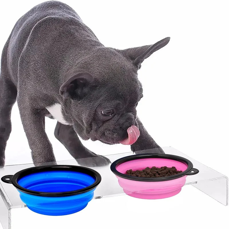 Dog drinking from PluffCup portable bowl on a hiking trail